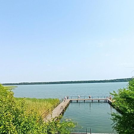 Apartament Moje Dabrowno Bagian luar foto